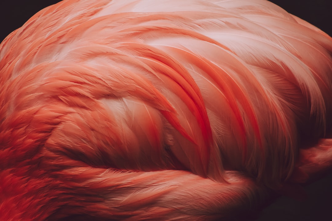 De mooiste haarkleur kiezen als je grijs haar wilt verven