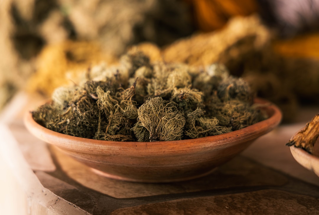 Een nieuwe kleur voor je kleding: zo verf je textiel zelf